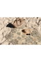 Mijölnir Toalla de Playa Multicolor Microfilamento Poliéster/Poliamida 70 x 130 cm Suave y Absorbente